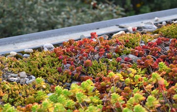 the cost of Little Welton green roof installation