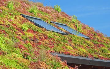 Little Welton living roof systems